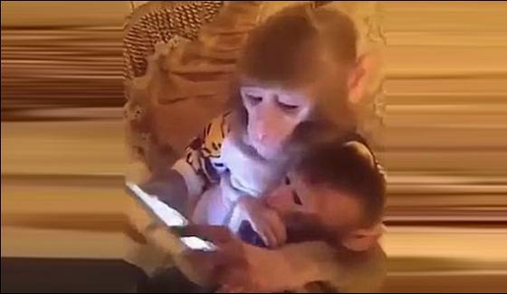 Monkeys Gone Crazy For Mobile Phones In China
