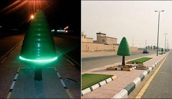 Saudia Arabia Debate On Trees