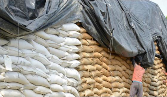 Seized 200 Sacks Of Substandard Wheat Gilgit Baltistan