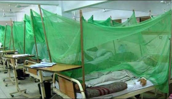 Dengue Spread In Lahore And Rawalpindi