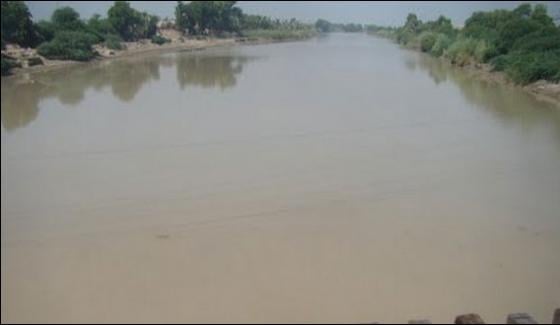 Presence Of Crocodile In Nara Canal Of Sukkur Revealed