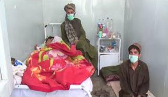 Congo Affected Seven Patients Admitted To Hospital In Quetta