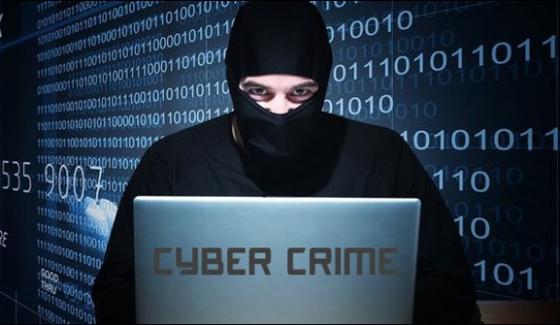 Companies Lose Millions Of Dollars Cyber Attacks