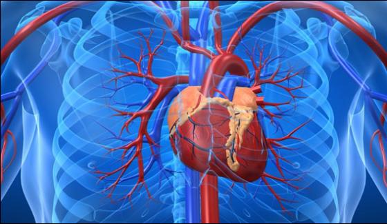 Eighty Per Cent Of Heart Diseases Can Be Avoided Experts