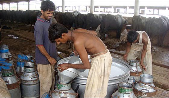 Peshawar Different Prices For Milk Citizens Upset