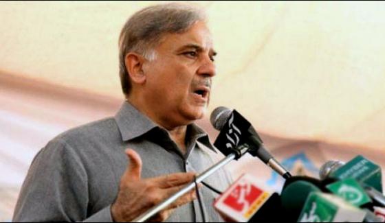 Indias Dirty Eyes To Take Out Shahbaz Sharif