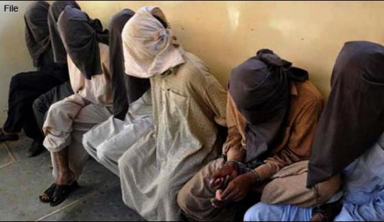 262 Terrorist Arrested This Year From Kpk