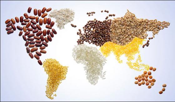 World Food Day To Be Observed Today Including Pakistan