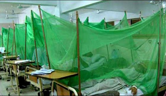 Dengue Claims Another Life In Multan