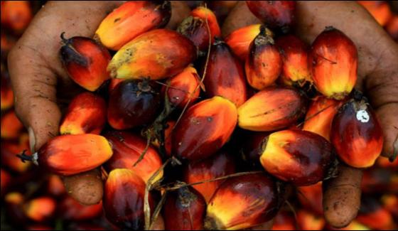 Malaysian Palm Oil Prices At Levels Above 6 Months