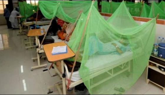 116 Dengue Cases Confirmed In Thar