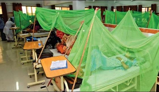 Dengue Claims One More Life In Multan