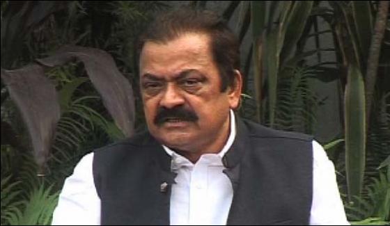 Rana Sana Rejects All Charges Against Shahbaz Sharif