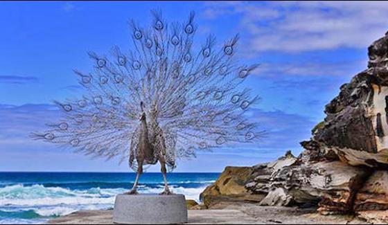 Australias Sculpture By The Sea Exhibition Begins Near Sydney