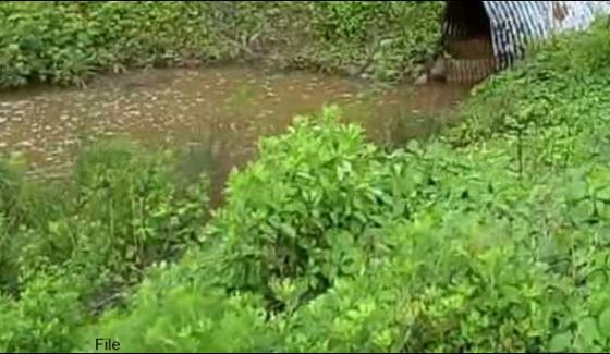 Multan Sewerage Water Used For Vegetable Cultivation