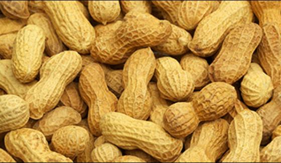 Issuing Of Permits To Import Peanut Has Been Stopped