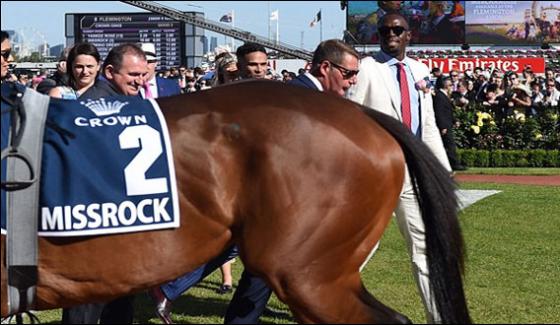 Usain Bolt Narrowly Escaped By Horse Kick