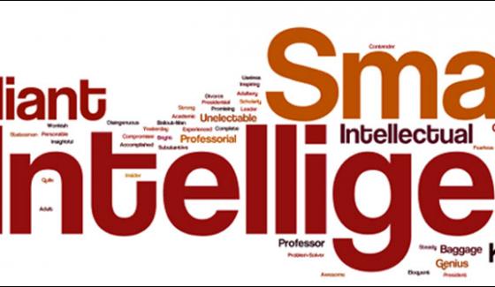 They Are Intelligent Who Travel Alone Experts
