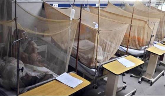 Denguethe Number Of Patients Was 190 In Multan