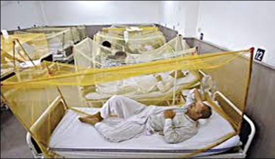 Dengue Virus Confirm In Nawabshah Patient