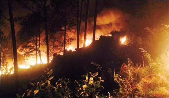 Fire In Murree Expressway Forest