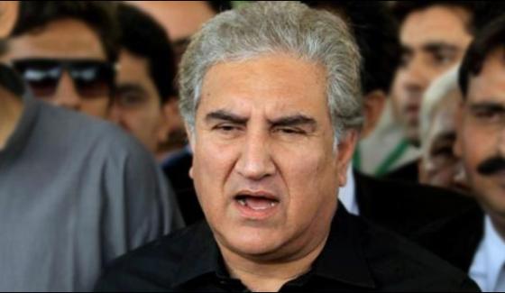 Shah Mehmood Qureshi Advised Bilawal Bhutto