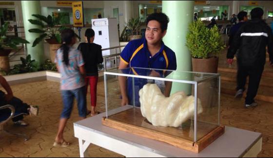 Philippines The Largest Pearl In The World Weighing 34 Kg