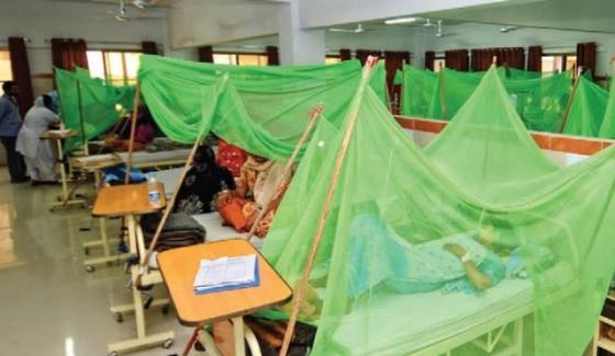 42 More Dengue Cases Reported