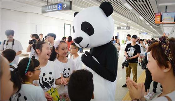 Panda Themed Exhibition Held In Chengdu China