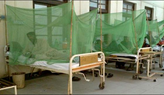 Dengue Enters In Multan Hospital