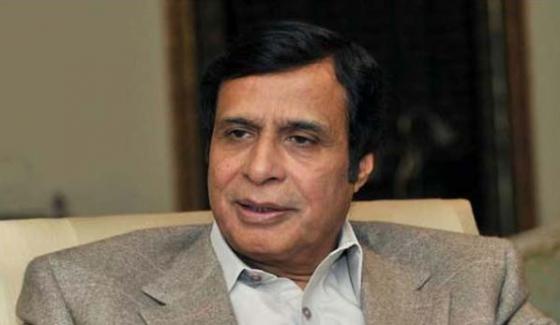 The Punjab Government Has Not Given Any Authority To Local Government Representatives Pervaiz Elahi