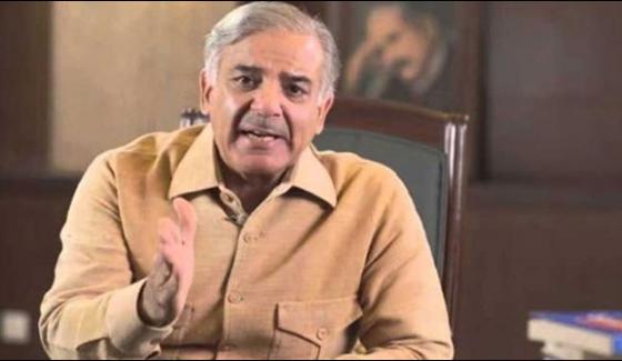 Cm Punjab Shabaz Sharif Visit Kasur