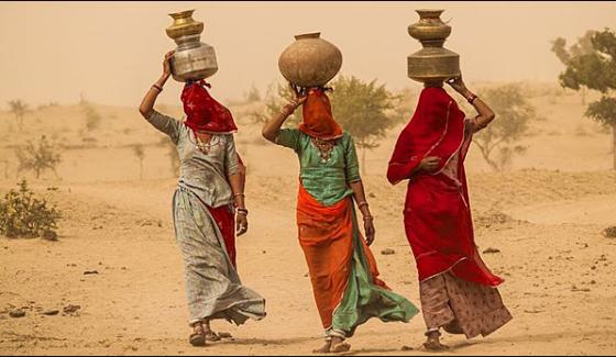 Thar Desert Culture And Symbol Of Beauty