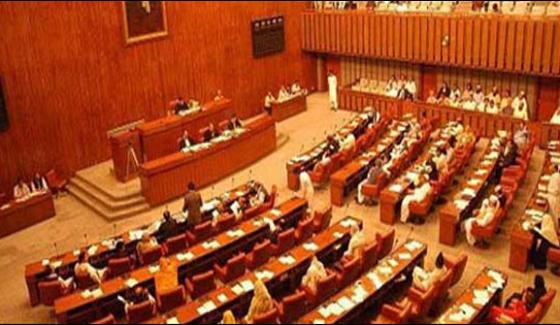 The Unanimous Resolution Condemning Modis Statement In The Senate