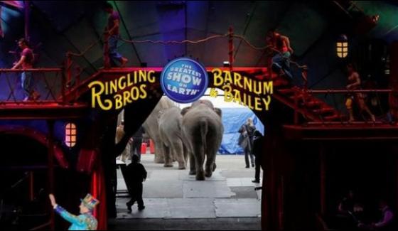 After One Hundred Years Of The American Circus