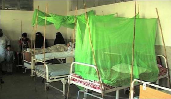Karachi 13 More Cases Reported Of Dengue