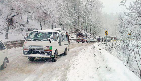 Snow And Freezing Cold Grip Murree