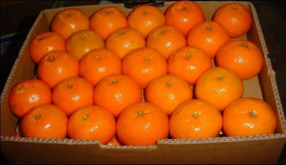 Orange Exports To Face Real Competition With Turkey In World Markets