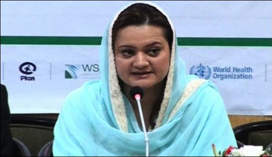 Maryam Aurangzeb Denies Sending Of Horse Through C130 To Qatar