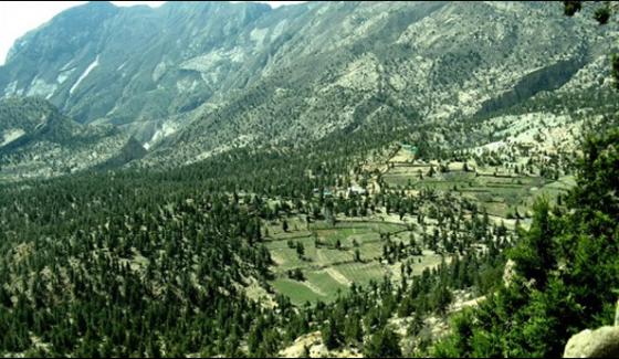 Ziarat Forest In World Heritage List