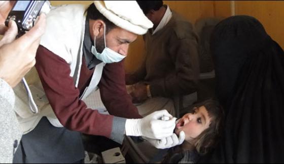 Four Accused Arrested Due To Drops Of Polio