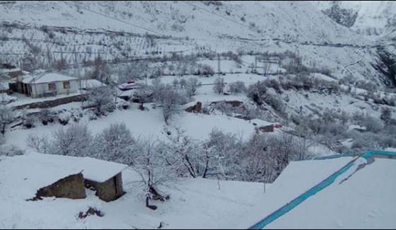 15 People Killed By Avalanche In Chitral