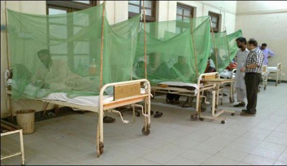 Dengue Cases Rising In Karachi 9 More Cases