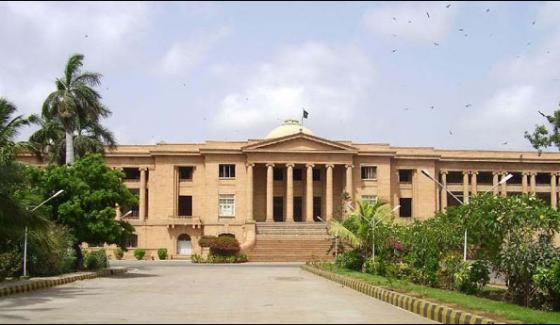Karachi Sindh High Court Hearing China Cutting Case