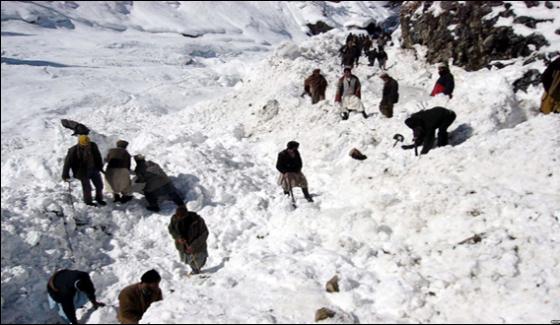 Avalanche In Gilgit Baltistan Rescue Teams Returns Back