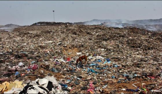 Peshawar Public Dumping Area
