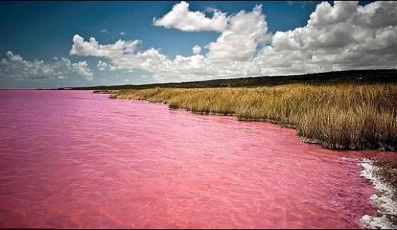 Australias Unique Pink Lake