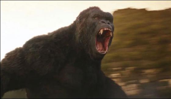New Trailer Of Hollywood Movie Kong Skull Island Released
