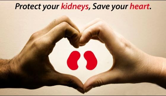 World Kidney Day Observed Today