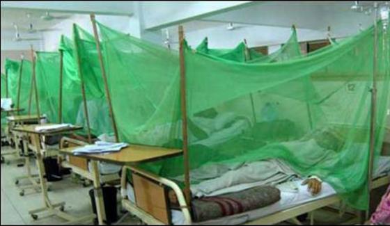 12 More Cases Of Dengue Virus Appears In Karachi